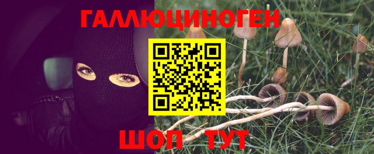 Псилоцибиновые грибы Magic Shrooms  Вход с VPN  Советск  Галлюциногенные грибы ЛСД 
